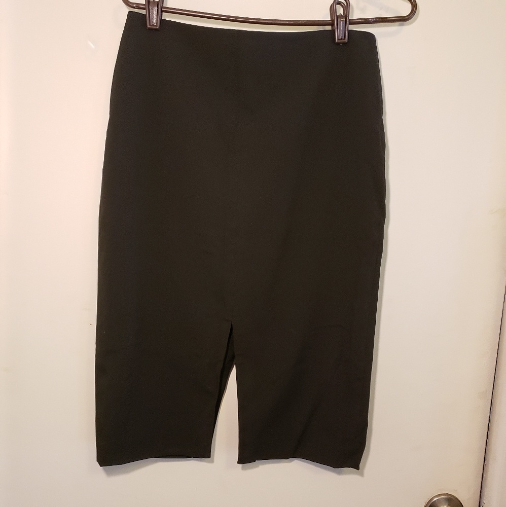 Banana Republic Pencil Skirt